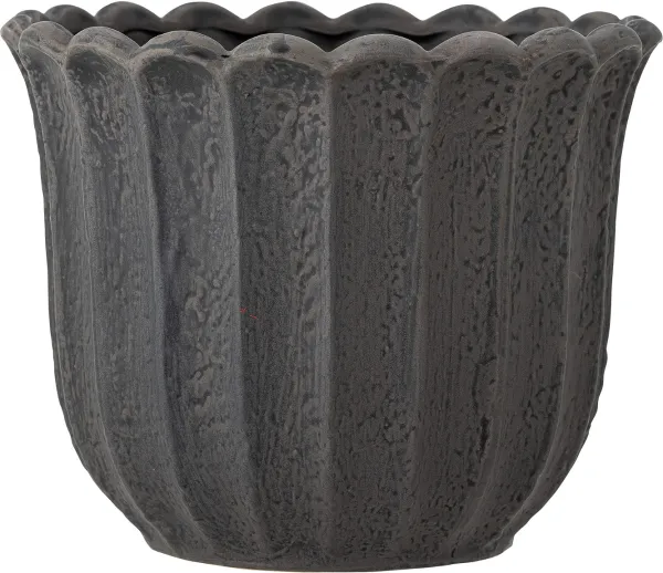 Chaca, Krukväxtkruka, mörkbrun